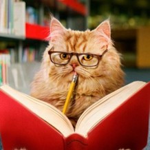 河南耶魯專升本怎么樣？