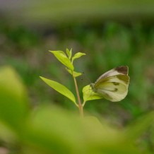 冬鏡：什么樣的人只適合做塑料兄弟