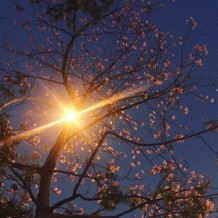 成長就像走夜路一樣，既沒有燈也沒啥人，但正因為黎明很美，所以你要酷酷地走下去