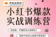 花生的書桌-新人必備的操作小紅書實戰訓練營13期