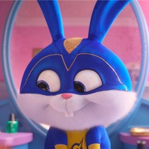 《愛寵大機密2》：除了萌你一臉血，還能看到什么？