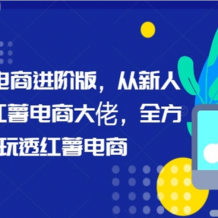小紅書 電商進階版 新人全方位玩透紅薯電商