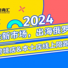 跨境電商 新藍海 俄羅斯OZON本土電商全攻略 百度網盤下載