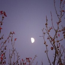 如果問我思念多重，不重的，像一座秋山的落葉