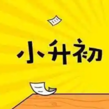 2025年新版小升初語文總復習專項知識點46套Word高清完整版 網盤打包下載